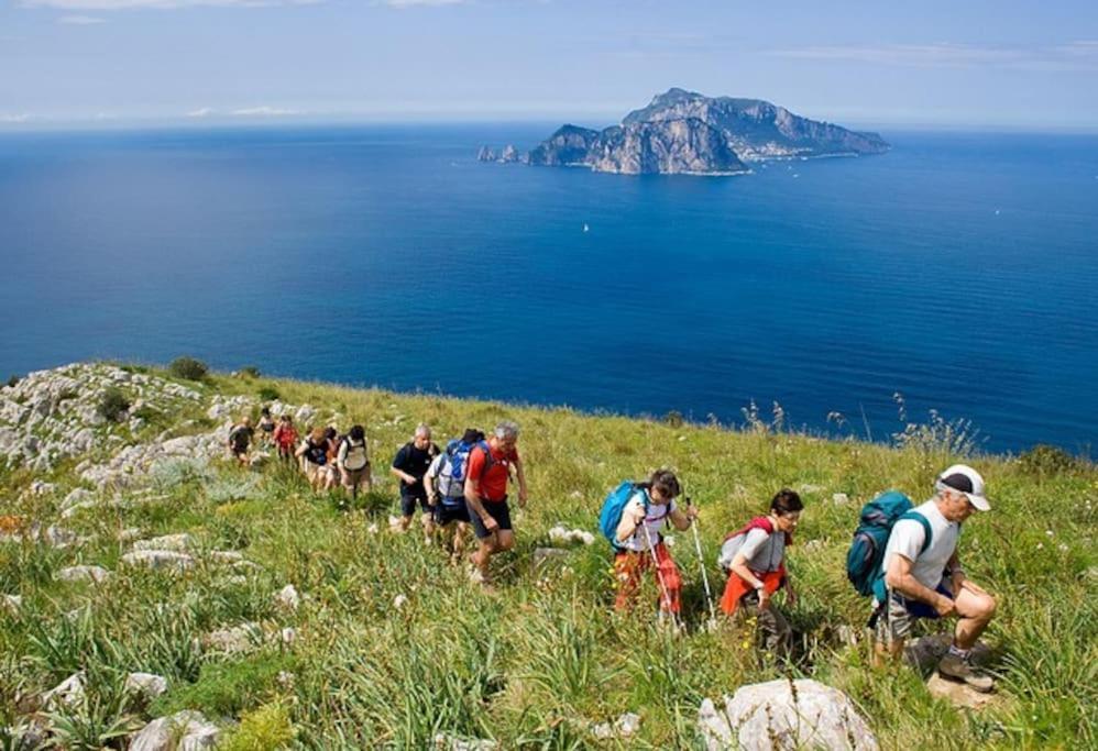 Amalfi Coast, Positano, Sorrento, Capri, Garden, Villa Carcara Colli di Fontanelle المظهر الخارجي الصورة