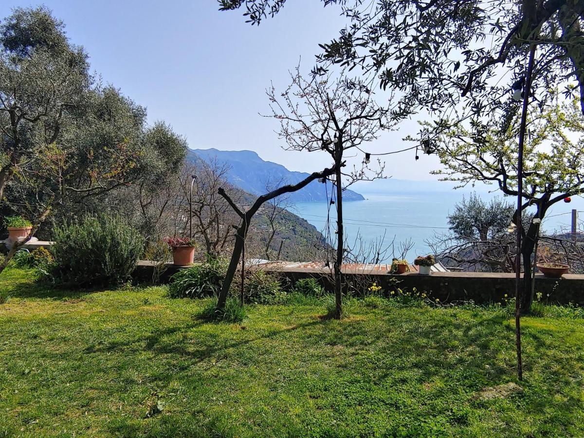 Amalfi Coast, Positano, Sorrento, Capri, Garden, Villa Carcara Colli di Fontanelle المظهر الخارجي الصورة