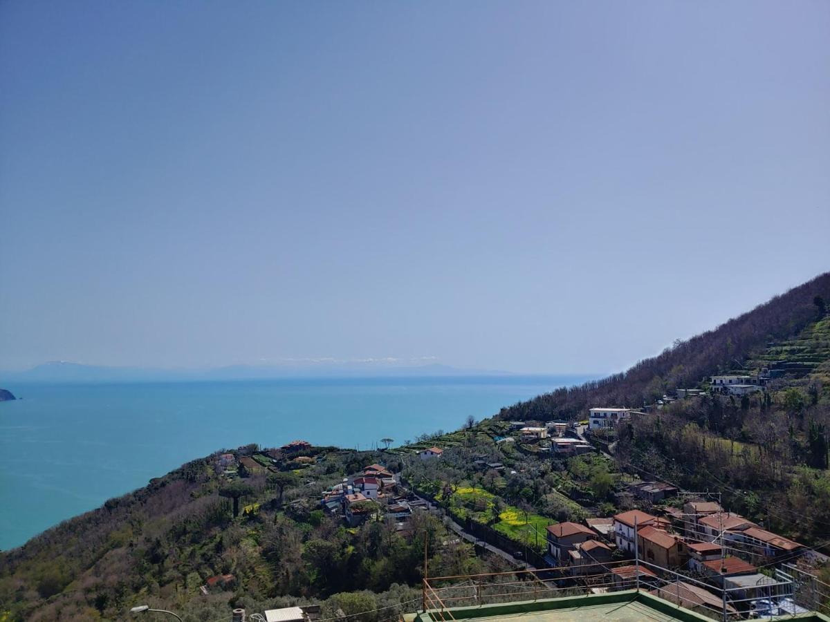 Amalfi Coast, Positano, Sorrento, Capri, Garden, Villa Carcara Colli di Fontanelle المظهر الخارجي الصورة