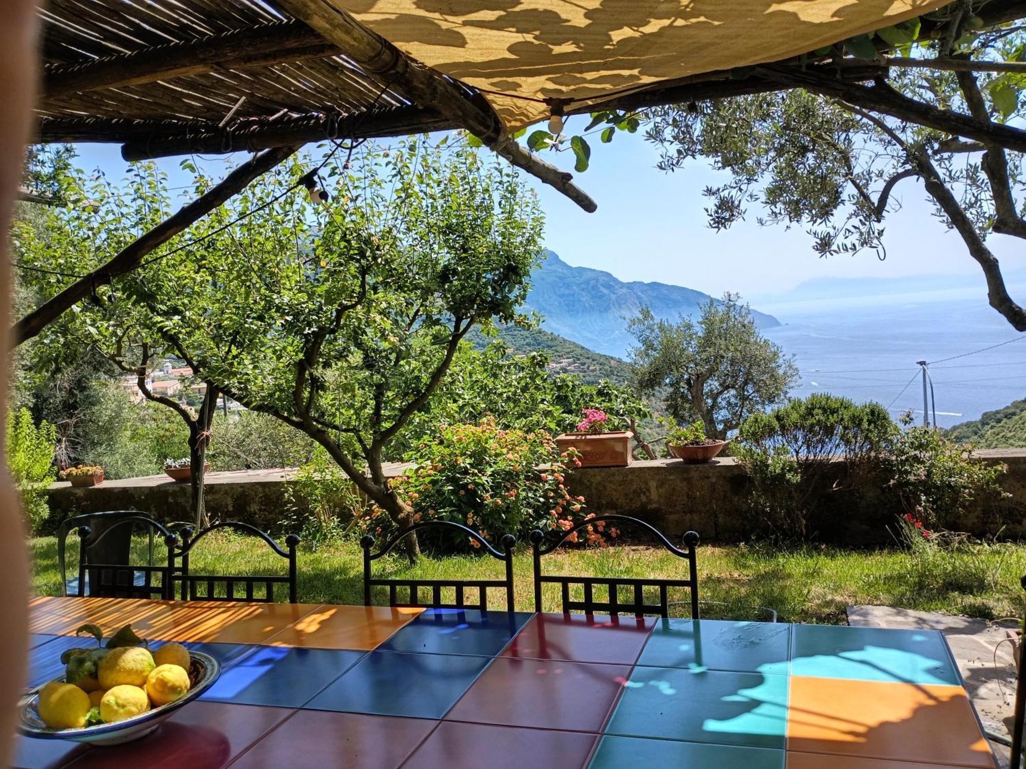 Amalfi Coast, Positano, Sorrento, Capri, Garden, Villa Carcara Colli di Fontanelle المظهر الخارجي الصورة